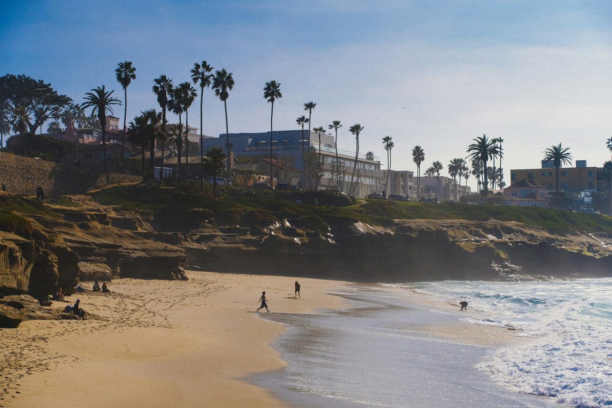 Palm-lined bluffs above the beach in La Jolla