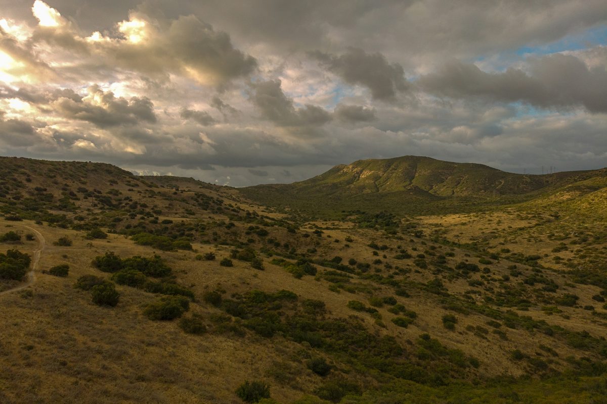 Hills of Mission Trails Regional Park, next to Santee